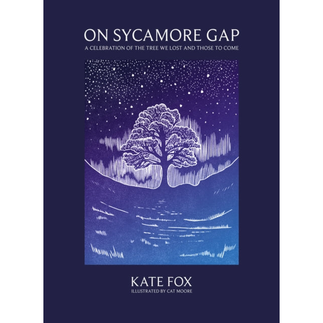 On Sycamore Gap