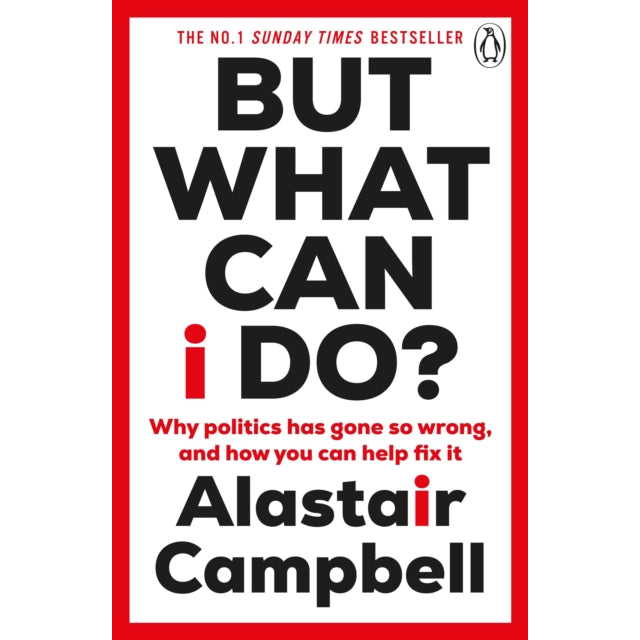 But What Can I Do? : Why Politics Has Gone So Wrong, and How You Can Help Fix It