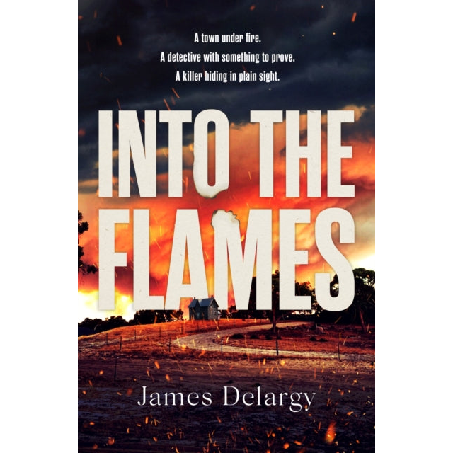 Into the Flames : The scorching new summer thriller