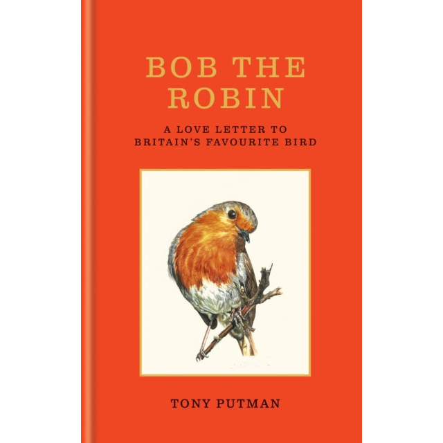 Bob the Robin : A love letter to Britain’s favourite bird