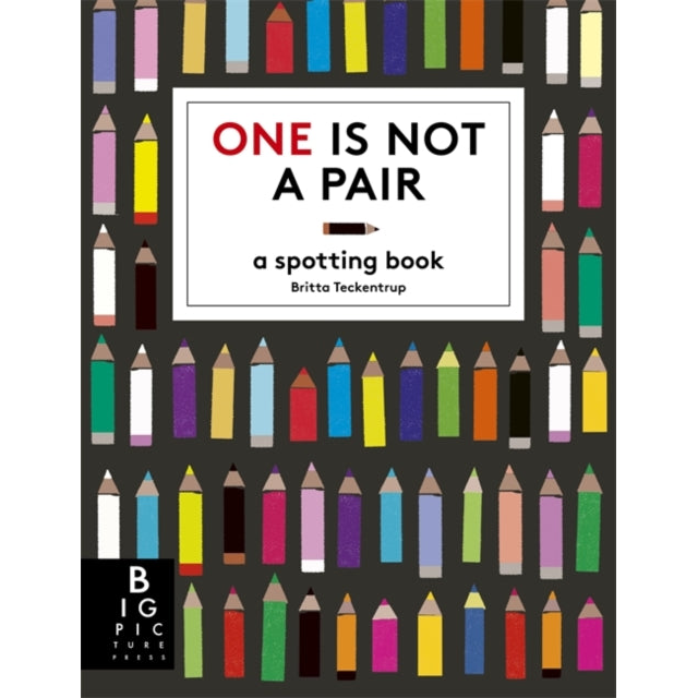 One is Not a Pair : A spotting book