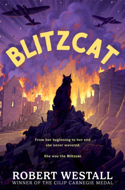 Blitzcat-9781035058334