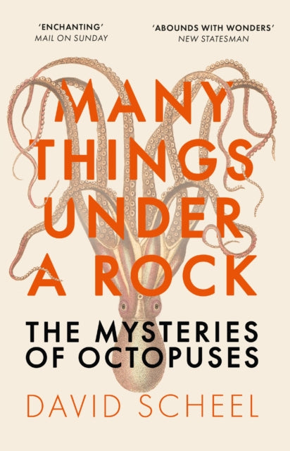 Many Things Under a Rock : The ‘mind-blowing’ book that reveals the mysteries of the octopus-9781529392647