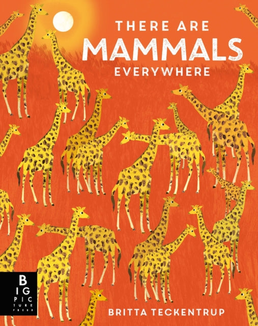 There are Mammals Everywhere-9781800787346