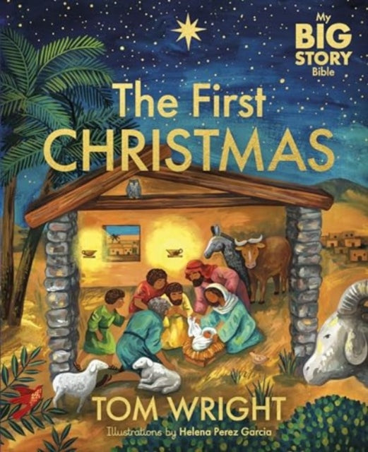 My Big Story Bible: The First Christmas-9781915749048