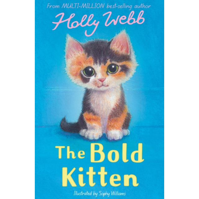 The Bold Kitten