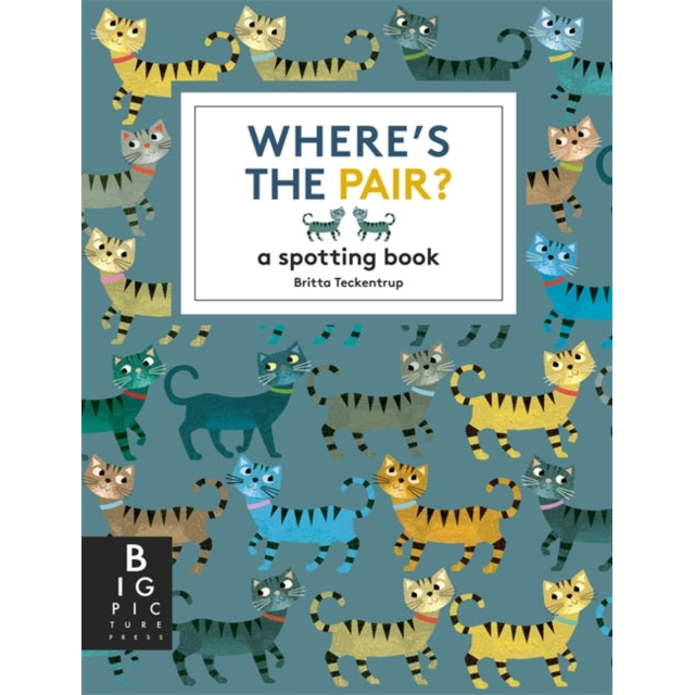Where's the Pair? : A Spotting Book