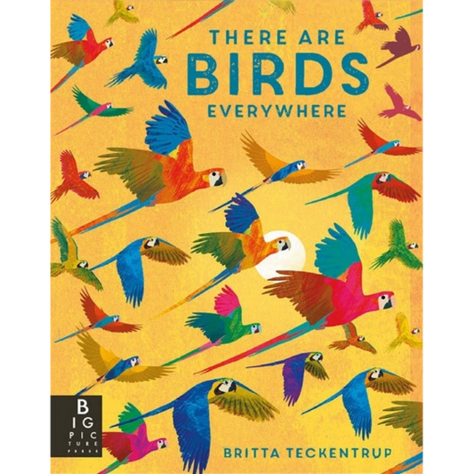 There are Birds Everywhere