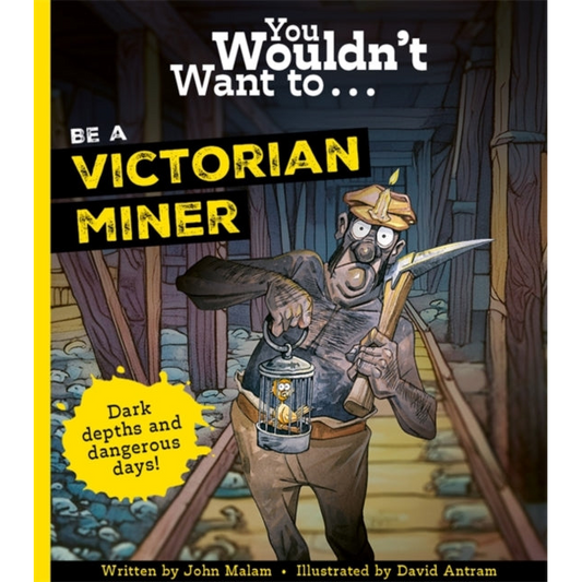 You Wouldn't Want To Be A Victorian Miner