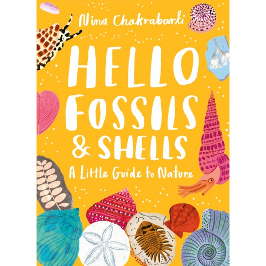 Little Guides to Nature: Hello Fossils and Shells