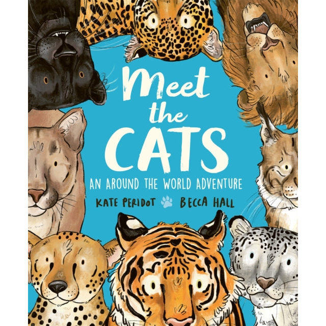 Meet the Cats
