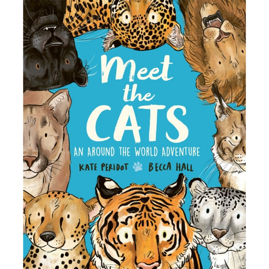 Meet the Cats
