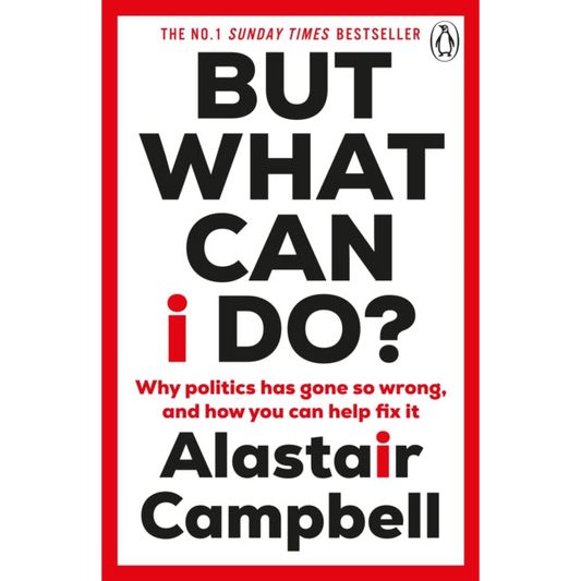But What Can I Do? : Why Politics Has Gone So Wrong, and How You Can Help Fix It