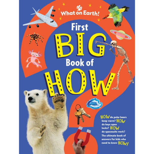 First Big Book of How