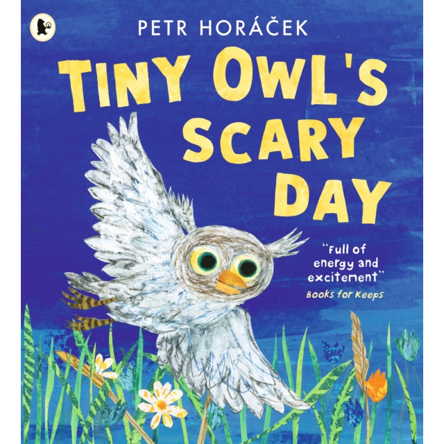 Tiny Owl's Scary Day