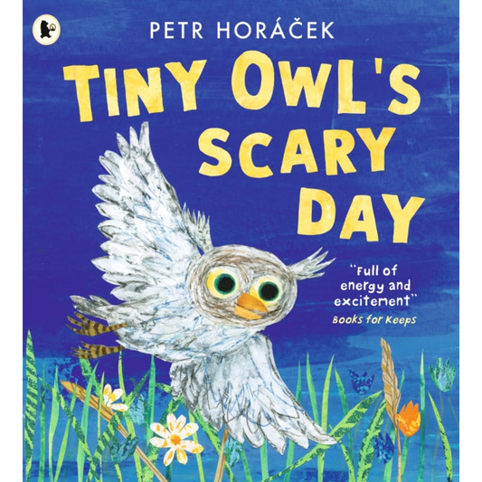 Tiny Owl's Scary Day