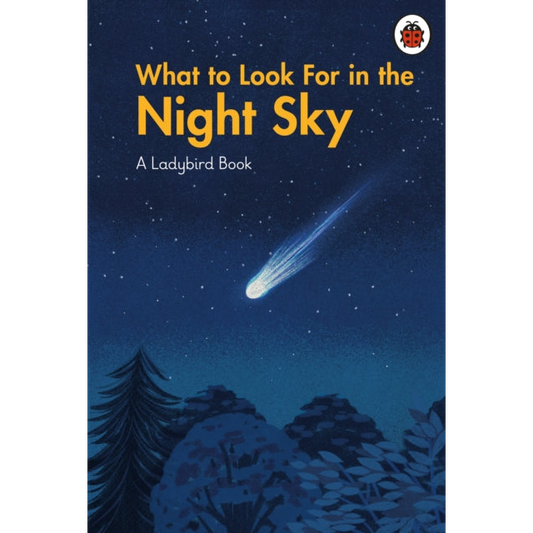 What to Look For in the Night Sky