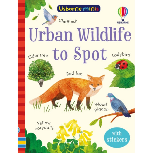 Urban Wildlife to Spot