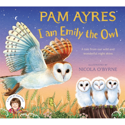 I am Emily the Owl : A tale from our wild and wonderful night skies
