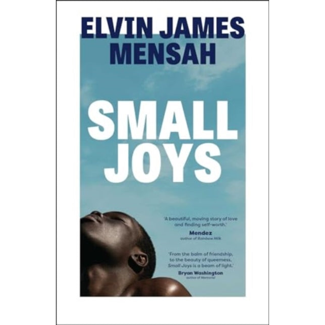Small Joys : A Buzzfeed 'Amazing New Book You Need to Read ASAP'