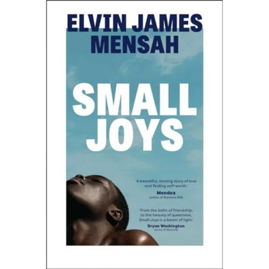 Small Joys : A Buzzfeed 'Amazing New Book You Need to Read ASAP'