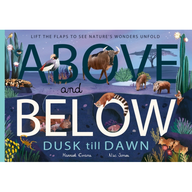 Above and Below: Dusk till Dawn : Lift the flaps to see nature's wonders unfold