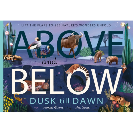 Above and Below: Dusk till Dawn : Lift the flaps to see nature's wonders unfold
