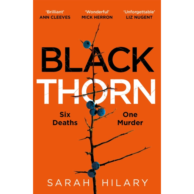 Black Thorn : A slow-burning, multi-layered mystery about families and their secrets and lies