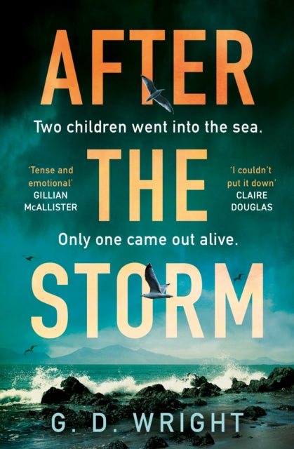 After the Storm-9780008702403