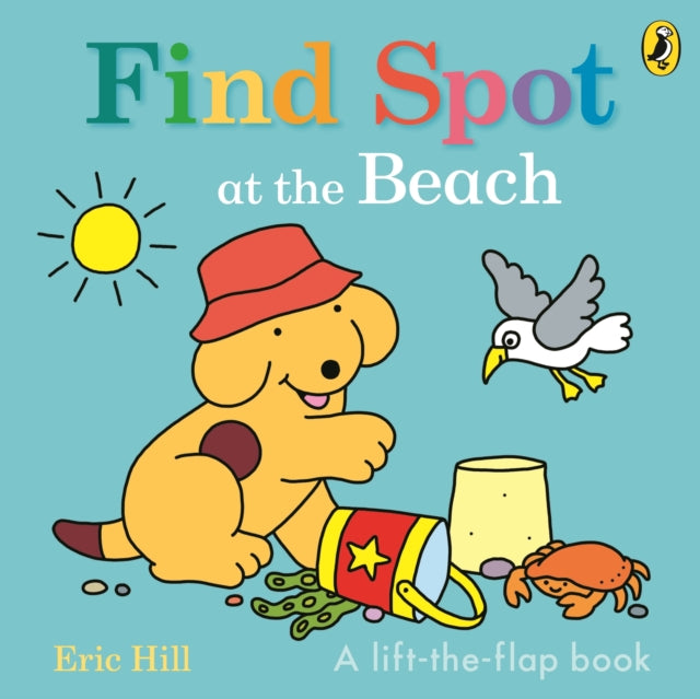 Find Spot at the Beach : A Lift-the-Flap Story-9780241648797