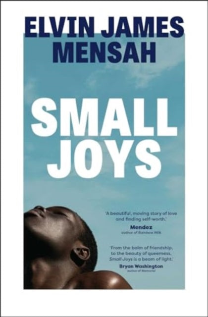 Small Joys : A Buzzfeed 'Amazing New Book You Need to Read ASAP'-9781398514911