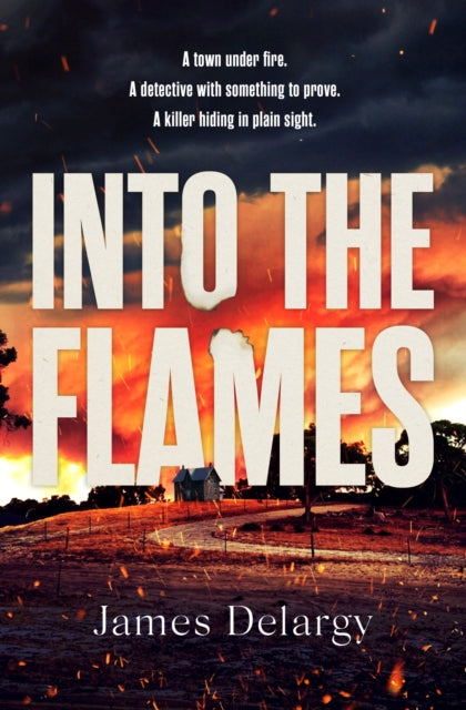 Into the Flames : The scorching new summer thriller-9781398525146