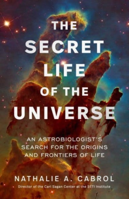 The Secret Life of the Universe : An Astrobiologist's Search for the Origins and Frontiers of Life-9781398531284