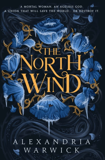 The North Wind : The TikTok sensation! An enthralling enemies-to-lovers romantasy, the first in the Four Winds series Volume 1-9781398532526