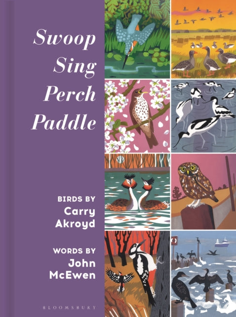 Swoop Sing Perch Paddle : Birds by Carry Akroyd-9781399418027