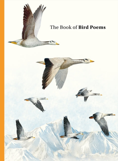 The Book of Bird Poems-9781399625630