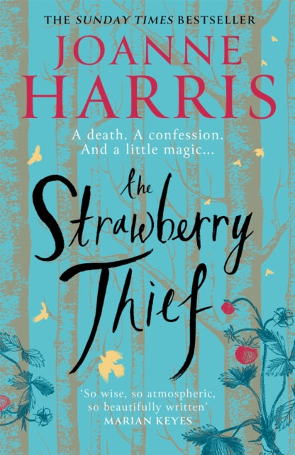 The Strawberry Thief : The Sunday Times bestselling novel from the author of Chocolat-9781409170778