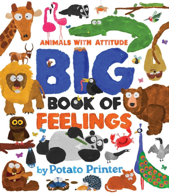 Big Book of Feelings-9781454712213