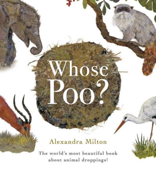 Whose Poo?-9781454712848