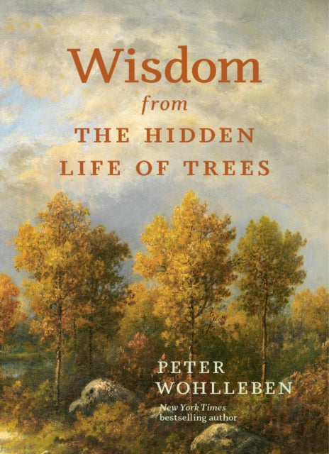 Wisdom from the Hidden Life of Trees-9781778401404