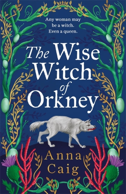 The Wise Witch of Orkney : A spell-binding debut novel about Scotland’s witch-hunting hysteria-9781785308499