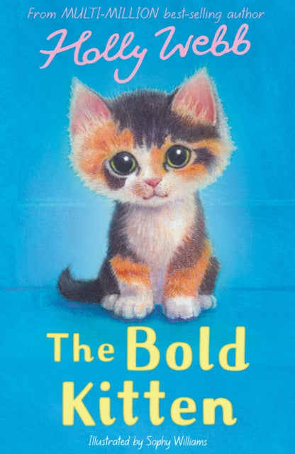 The Bold Kitten-9781788957397