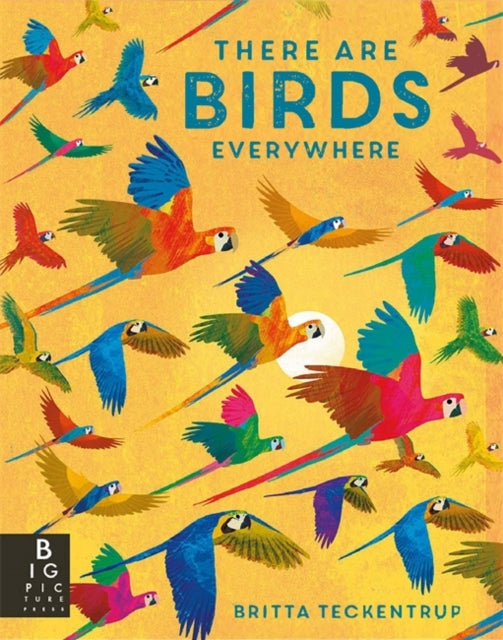 There are Birds Everywhere-9781800786585