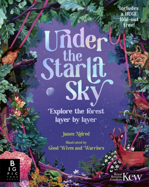 Under the Starlit Sky : Explore the Forest Layer By Layer-9781800787377