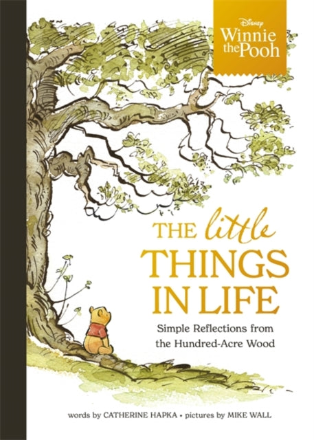 Winnie the Pooh - The Little Things in Life : Simple reflections from the Hundred-Acre Wood-9781800787629