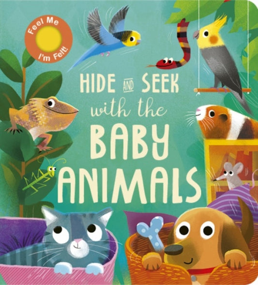 Hide and Seek with the Baby Animals-9781801043533