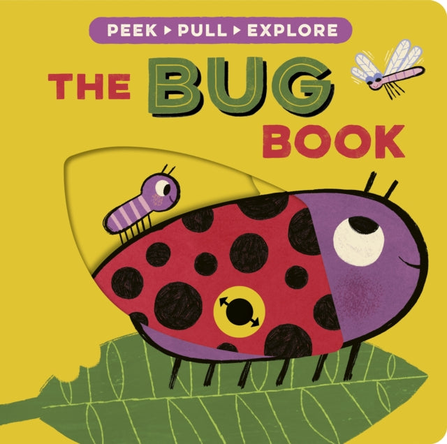 The Bug Book-9781801047562