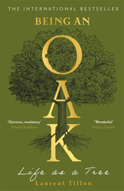 Being an Oak : Life as a tree-9781804183410
