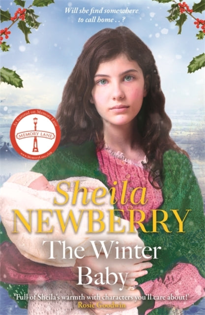 The Winter Baby : A perfect, heartwarming winter story from the Queen of Family Saga-9781804187692