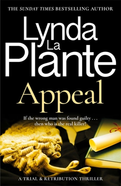 Appeal : A Trial & Retribution thriller-9781804189498